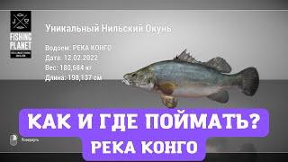 КАК И ГДЕ ПОЙМАТЬ УНИКАЛЬНОГО НИЛЬСКОГО ОКУНЯ В FISHING PLANET? РЕКА КОНГО - АФРИКА