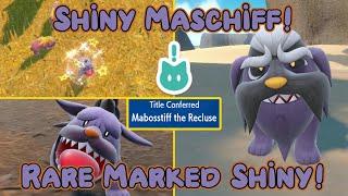 Rare Marked Shiny Maschiff - Pokemon Violet Badge Quest #11