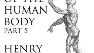 Anatomy of the Human Body Part 5 Grays Anatomy by Henry GRAY Part 12  Full Audio Book