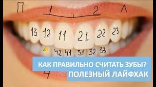 Урок 4.  Как ПРАВИЛЬНО считать зубы? Полезный лайфхак от стоматолога для каждого человека