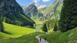 Поднимаемся в Аппенцельские Альпы - Меглизальп Швейцария