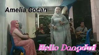 Hello Dangdut. Voc Amelia Gocan.