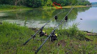 Carnada y Linea para pescar CARPAS  Esperando el GRAN pique Pesca GIGANTE mucha ACCION