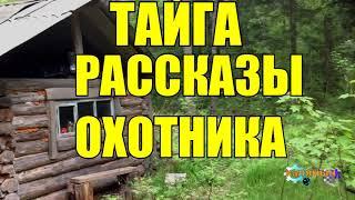 ТАЕЖНЫЕ ПРИКЛЮЧЕНИЯ  Рассказы охотника