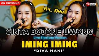 DIVA HANI - CINTA BOJONE UWONG HEHE HAHA  - IMING IMING LIVE DANGDUT ELECTONE LEMBAYUNG MUSIC