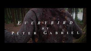 Peter Gabriel - Everybird Fan Made Music Video