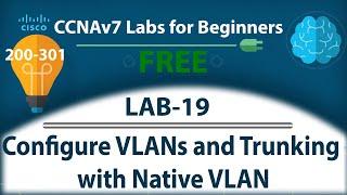 Configure VLANs and Trunking with Native VLAN - Lab19  Free CCNA 200-301 Lab Course