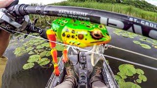 Hammering Bass With Freddy The Frog