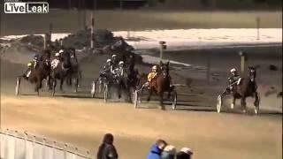 Live Sex on Horse Racing in Norway 