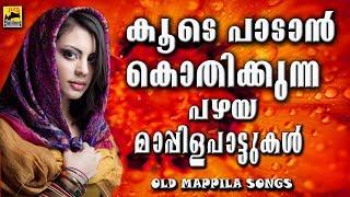 കൂടെ പാടാൻ കൊതിക്കുന്ന പഴയ മാപ്പിള പാട്ടുകൾ Old Is Gold  Malayalam Mappila Songs 2017