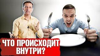 Интервальное голодание что происходит внутри?