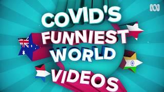 COVIDs Funniest Videos