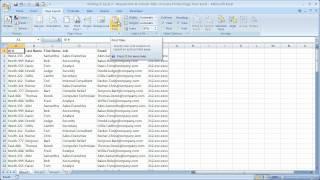 Printing in Excel 7 - Repeat Row & Column Titles on Every Printed Page from Excel - Page Setup