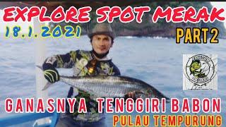 GANAS‼️TENGGIRI SPOT PULAU TEMPURUNG MERAK‼️#tenggiri #mancing #strike #babon #kangery72 #predators