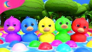 Five Little Ducks  Kids Songs  BluLoo Nursery Rhymes & Kids Songs