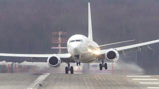 BOEING 737 CROSSWIND LANDING with a BIRD relaxing on the RUNWAY + A319 GO AROUND 4K