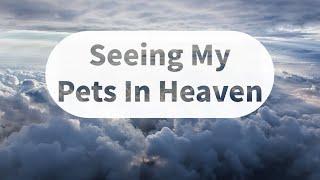 Seeing My Pets In Heaven