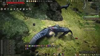 Shadow lion hunting 2000 mastery v2 - Black desert online