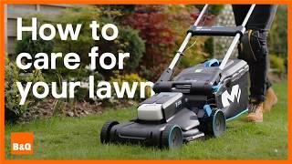 How to care for your lawn  DIY