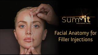 Facial Anatomy for Filler Injections Module  SUMMIT Online Aesthetic Training
