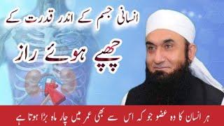 Insaani Jism Me Allah Ki Qudrat  Maulana Tariq Jameel   the student of islam