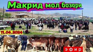 11.04.2024 Кашкадарё в Макрид мол бозори нархлари #бозортренди #molbozor #chorva #bozor #sigir