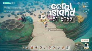 Coral Island 🪸S1E065Nicht nur groß auch roter Stern🪸German