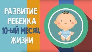 Десятый месяц жизни. Календарь развития ребенка