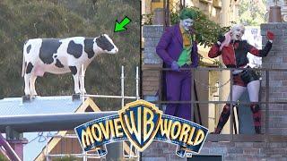 Movie World  COW in WIZARD OF OZ LAND New Rides Update & MORE