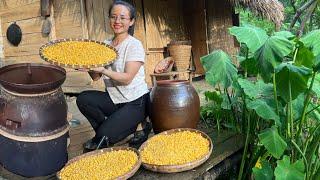 The process of making wine from corn seeds harvesting papaya flowers to sell at the market