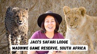 SLEEPING UNDER THE STARS IN AFRICA Jacis Lodge Review Madikwe Game Reserve South Africa