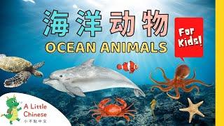 23 Ocean Animals in Chinese 海洋动物  Animal Vocabulary  Learn Chinese for Kids Toddlers & Babies