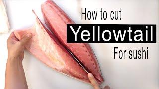 How to break down yellowtail hamachi into parts for sushi.