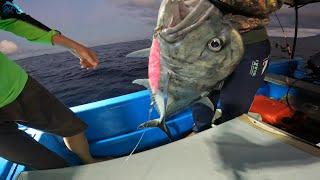 PESTA STRIKE BABON-BABON DIPAGI HARI️️  BIARO SURGANYA MANCING.