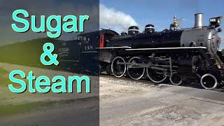 Sugar & Steam In South Florida