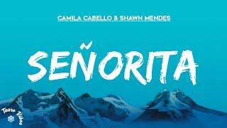 Señorita - Shawn Mendes Camila Cabello lyrics #trending