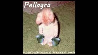 PELLAGRA - LA DOMENICA MATTINA