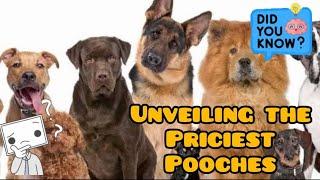 The Worlds Most Expensive Dog Unveiling the Priciest Pooches