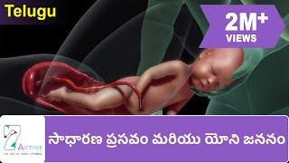 NORMAL LABOR & VAGINAL BIRTH  Telugu