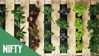 Vertical Fruit And Veggie Pallet Garden