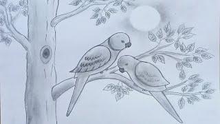 How to draw parrot couple on tree step by step very easy