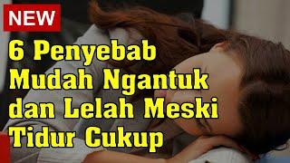 6 Penyebab Mudah Ngantuk Dan Lelah Meski Tidur Cukup