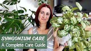 Complete Syngonium Care Guide  Arrowhead Plant Care and Propagation