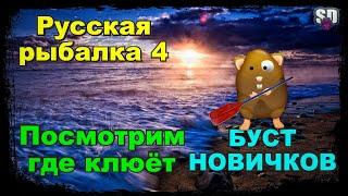 Русская Рыбалка 4 *Посмотрим где клюёт  + БУСТ НОВИЧКОВ*