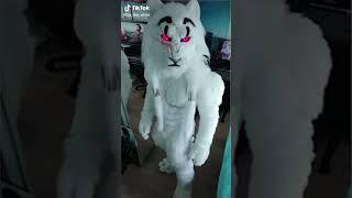 FURRY CRINGE  funny meme #shorts