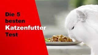  Top 5 besten Katzenfutter Test 2023