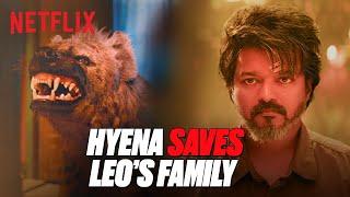 Vijay SUMMONS His Pet Hyena to TAKE DOWN His Enemies   #Leo  Netflix India