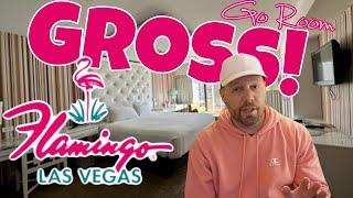 DISGUSTING Flamingo Go Room is the WORST Vegas Hotel Room I’ve ever seen  DIRTY BIRD Las Vegas 2023