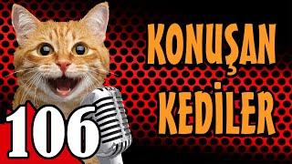 Konuşan Kediler 106 - En Komik Kedi Videoları - Pati TV