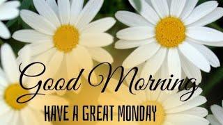 Monday good morning photos  Best good morning flowers images